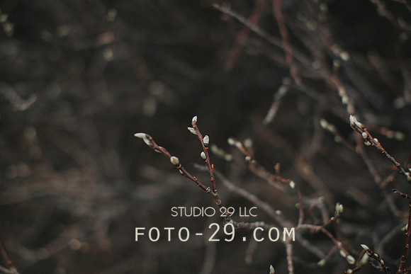 JB-0225