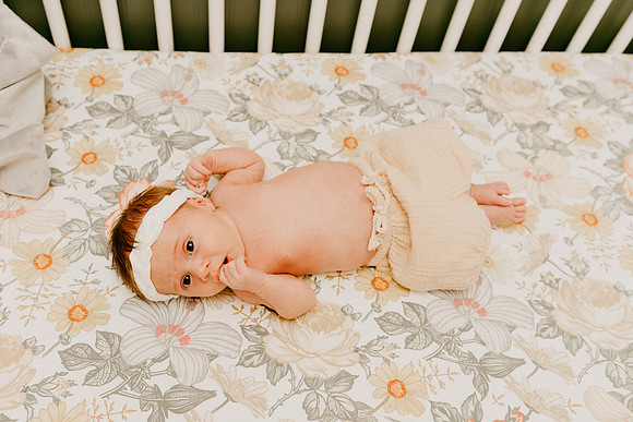 Evie-1237