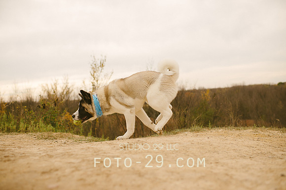 Oct_Kenzo-1108