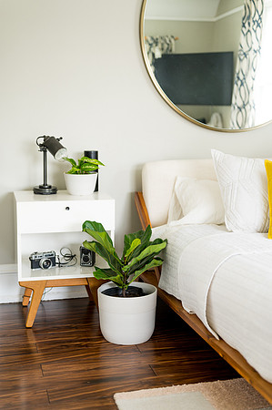 Plants.com-7024