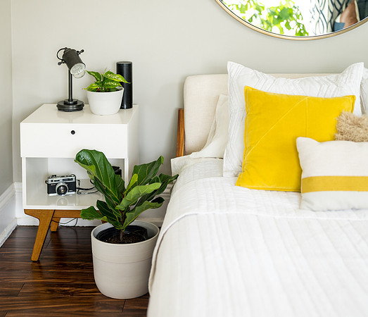 Plants.com-7025