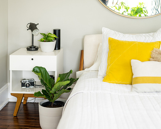 Plants.com-7026