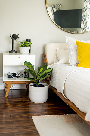 Plants.com-7027