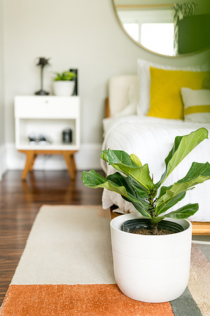 Plants.com-7031