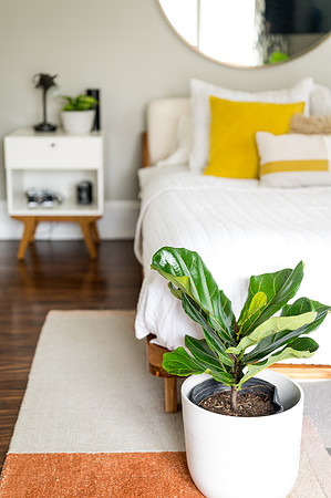 Plants.com-7039