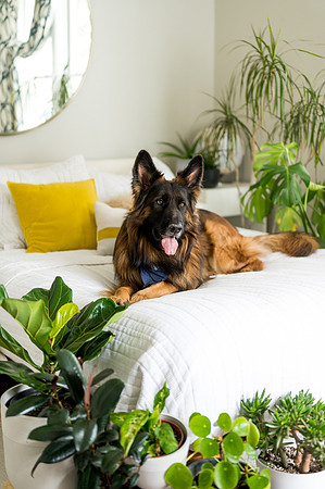 Plants.com-7049