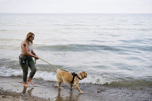 OffLeash2024-0733
