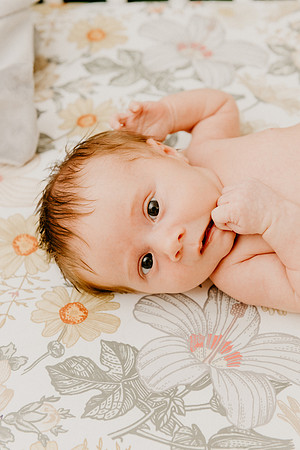 Evie-1509