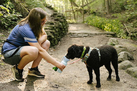 OffLeash2024-0701