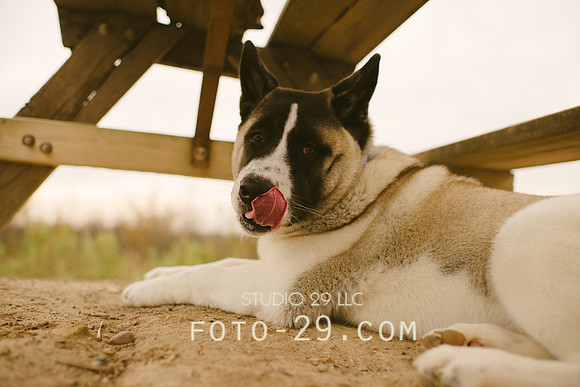 Oct_Kenzo-1121