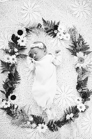 Willow-5426-2