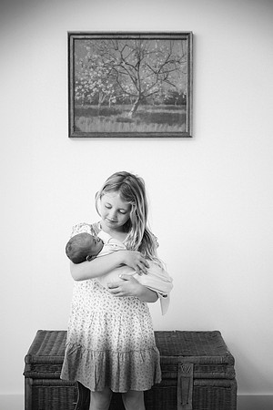 Willow-5782-2