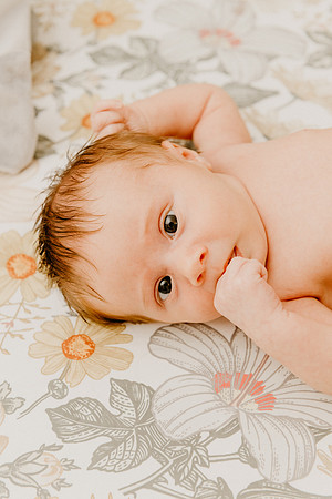 Evie-1508-2