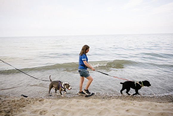 OffLeash2024-0730