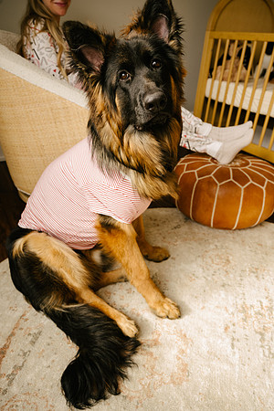 Valentines-PJ-5377