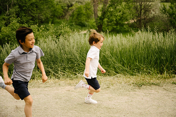 JB-6461