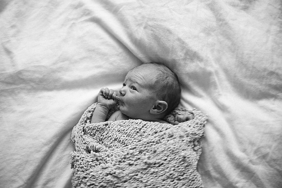 Willow-5341-2