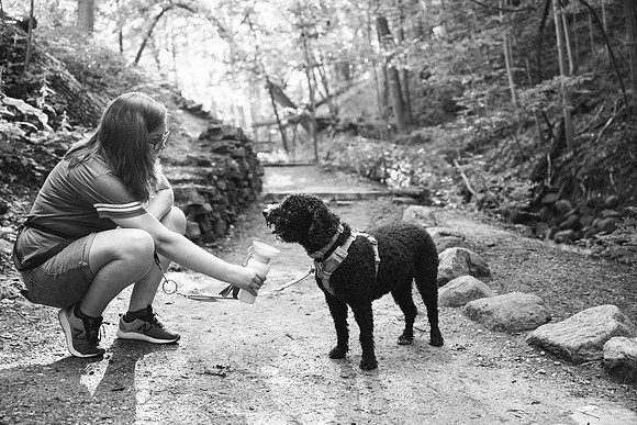 OffLeash2024-0703-2