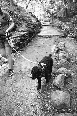 OffLeash2024-0698-2