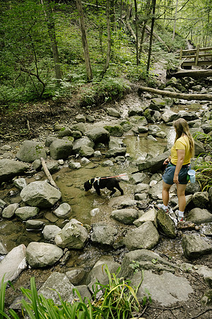 OffLeash2024-0605