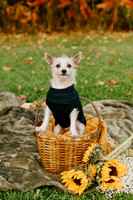 Liz + Dave + Grim + Pistachio October 2023 | Lake Park