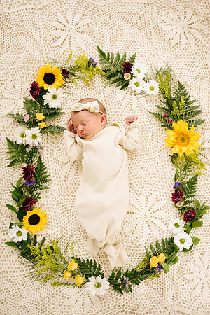 Willow-5426