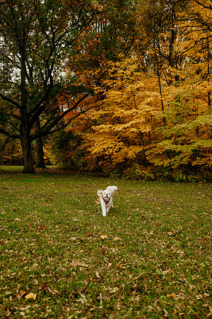 V-7315