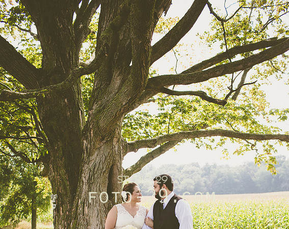 KM-Wedd-250