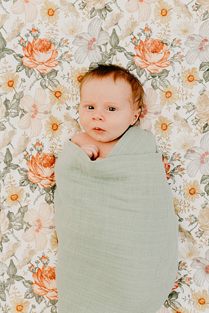 Evie-1432-2