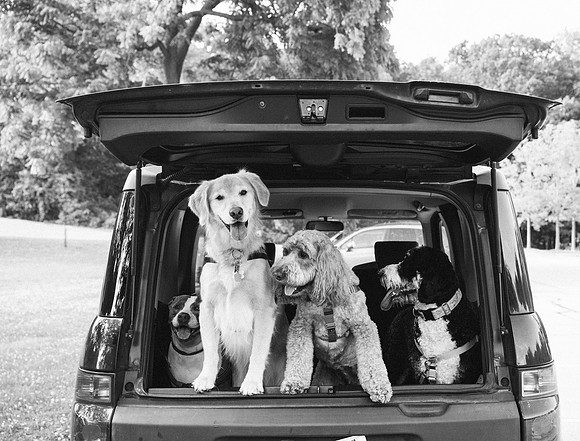 OffLeash2024-0451-2