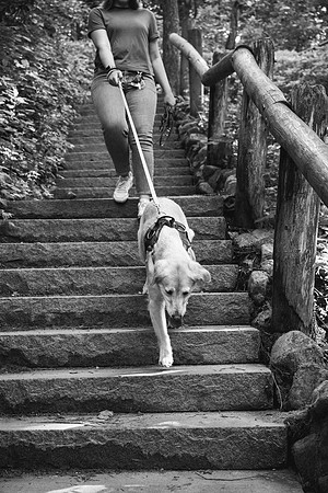 OffLeash2024-0458-2