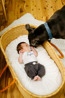 Owen In-Home Newborn Session | December 2023 60 MIN