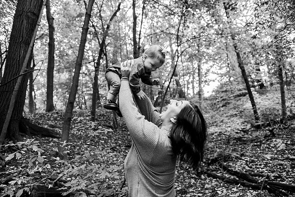 Dallas-8647-2