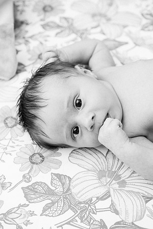 Evie-1508
