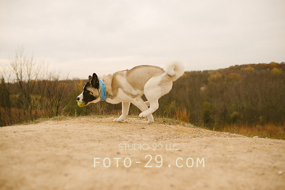 Oct_Kenzo-1107