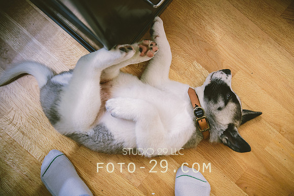 20140702-Kenzo