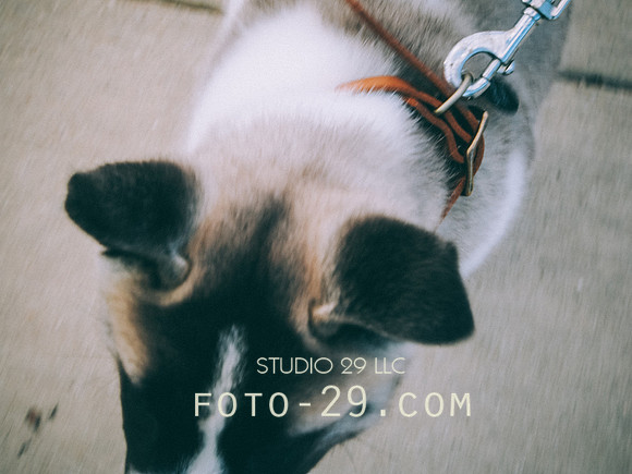 Kenzo140703
