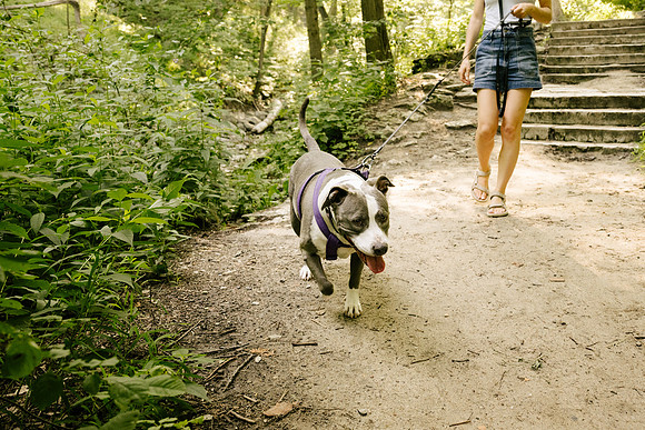 OffLeash2024-0547
