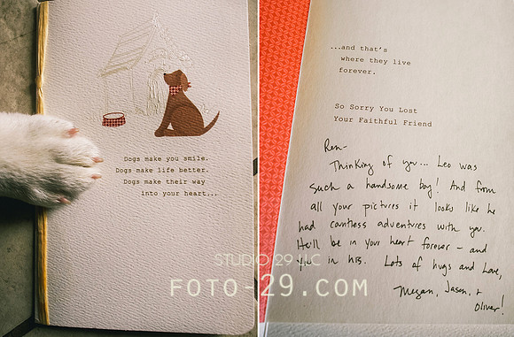Card-7070174a