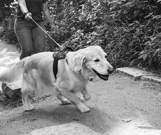 OffLeash2024-0467-2