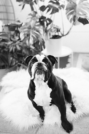Bert-0237-2