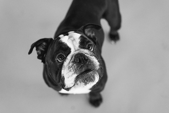 Bert-0242-3