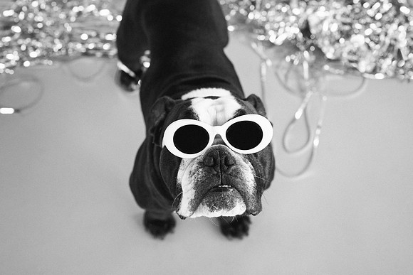 Bert-0268