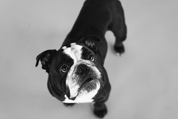 Bert-0243-3