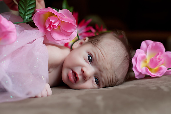 myanewborn-5009
