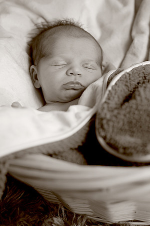 myanewborn-5033