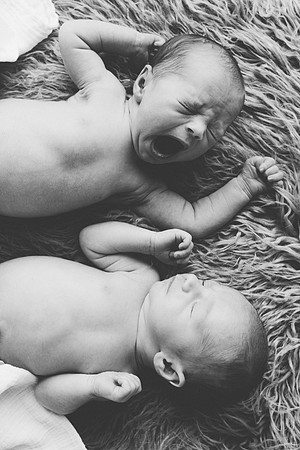 twins-5474-2