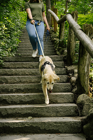 OffLeash2024-0458