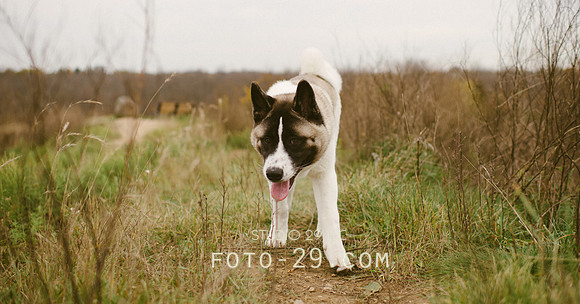 Oct_Kenzo-1083