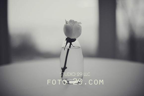 TariRobWedd2012-3247